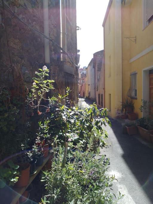 Casa Vacanze Sa Rocchitta Casa vacanze